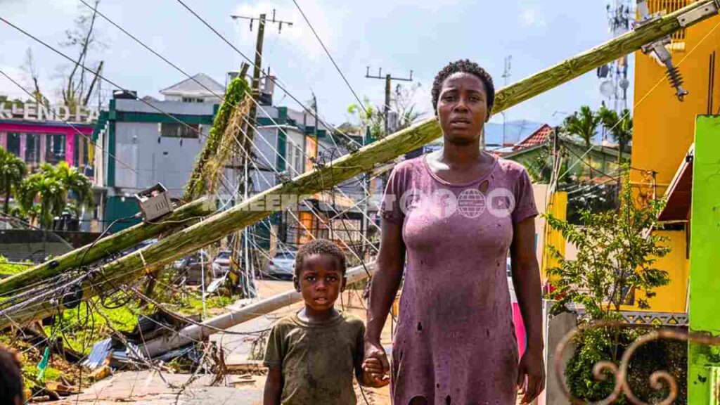 Hurricane Melissa’s True Cost in Westmoreland, Jamaica Hurricane Melissa’s True Cost in Westmoreland, Jamaica